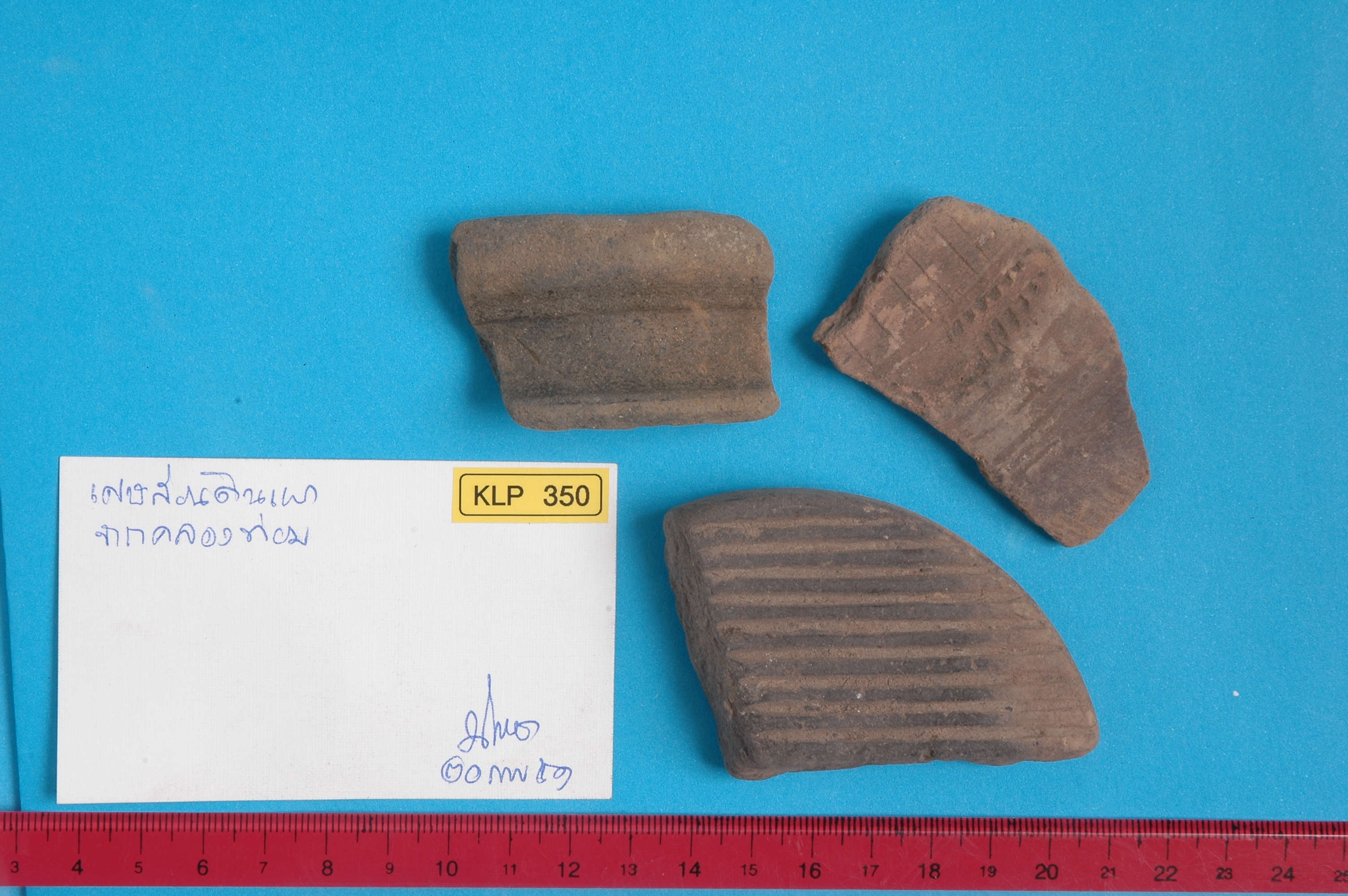 Sherd
